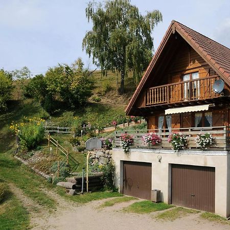 Chalet-Gite Berbuche Sainte-Croix-aux-Mines Ngoại thất bức ảnh