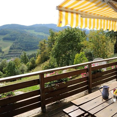 Chalet-Gite Berbuche Sainte-Croix-aux-Mines Ngoại thất bức ảnh