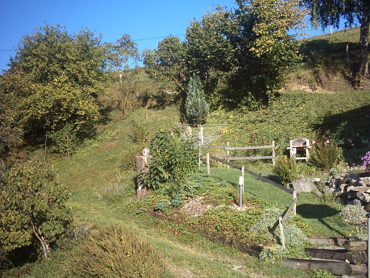 Chalet-Gite Berbuche Sainte-Croix-aux-Mines Ngoại thất bức ảnh